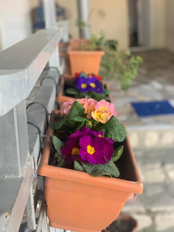 Guest House Loza Sighnaghi Luaran gambar